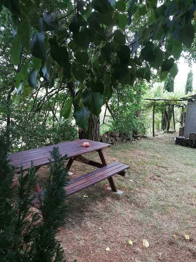 Agriturismo Le Bosole Hotel Cortona Apartment